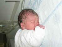 100_0040.jpg (94272 Byte)