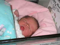 100_0064.jpg (183803 Byte)