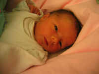 101_0104.jpg (65152 Byte)