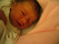 101_0106.jpg (59014 Byte)