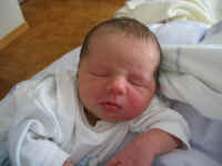 101_0139.jpg (70970 Byte)