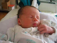 102_0210.jpg (73355 Byte)