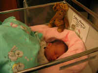 102_0213.jpg (98326 Byte)