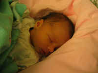 102_0214.jpg (66562 Byte)